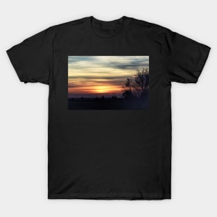 Wild Grasses at Sunset T-Shirt